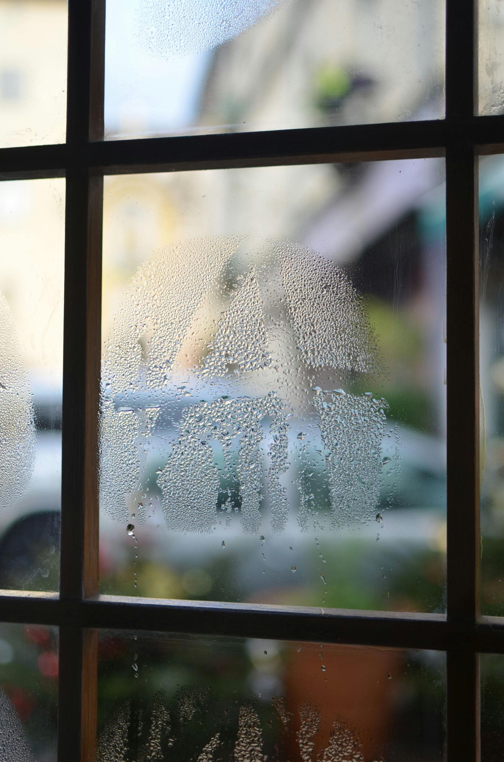 Close-up of a window with condensation. Blurred outdoor view of a building, car, and plants.