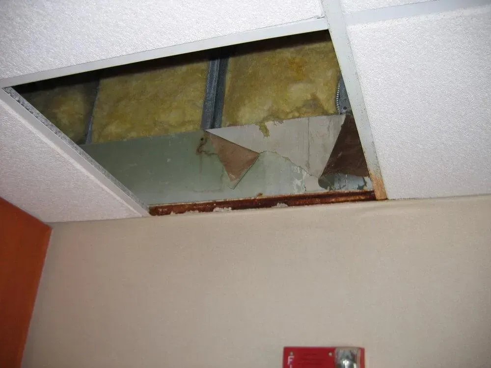 Damaged ceiling tile reveals insulation and a compromised support structure above a beige wall.