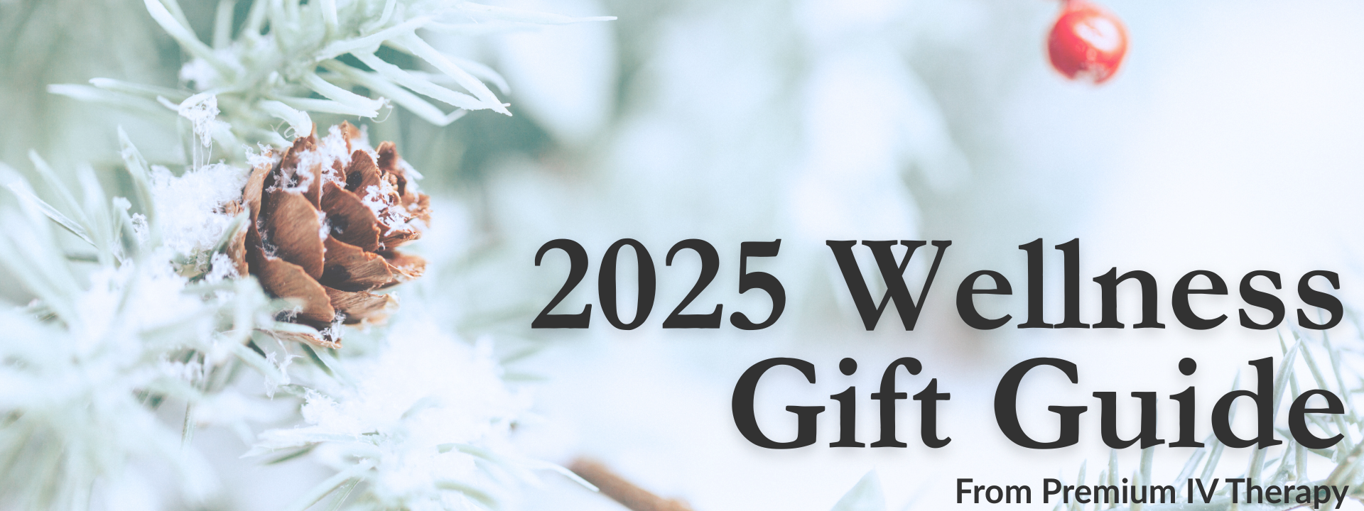 2025 Wellness Gift Guide on a snowy pine-and-berry holiday background