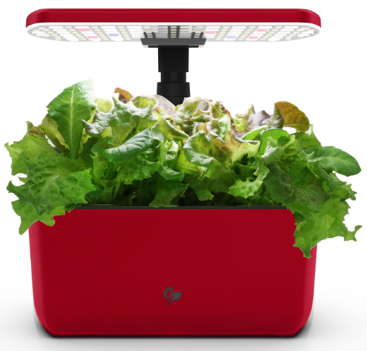 Red countertop scale with a tray full of leafy green lettuce on a white background