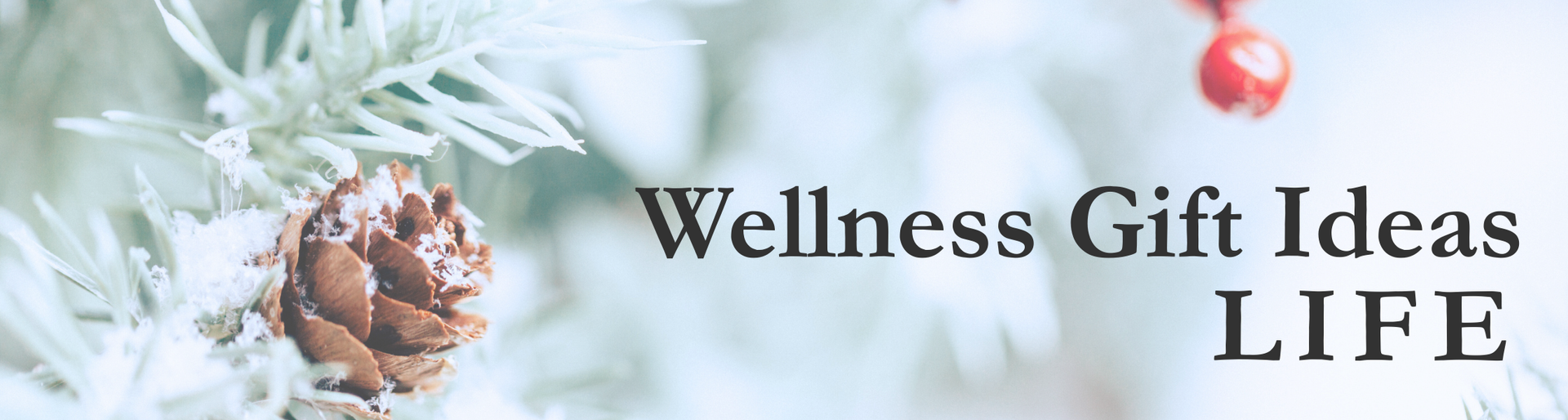 Festive banner reading “Wellness Gift Ideas LIFE” with frosted pine branches and a pine cone