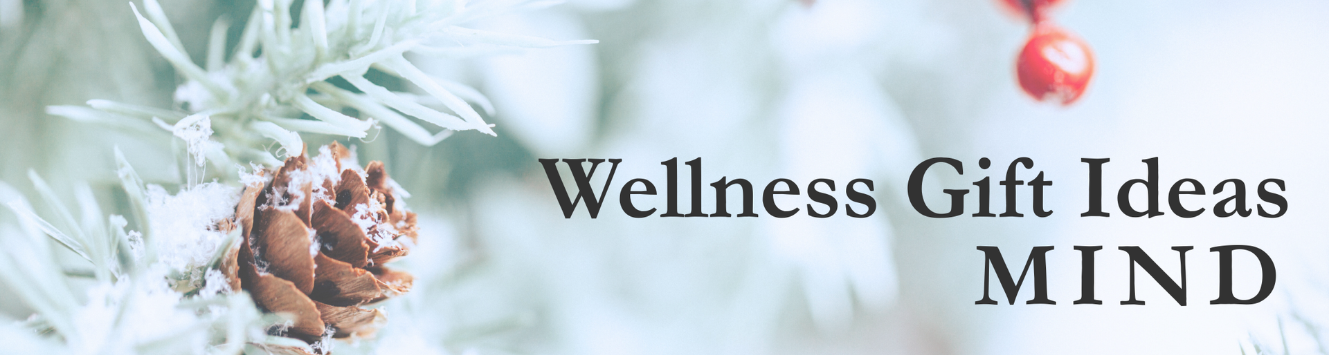 Holiday greenery with pinecone and red berries beside text “Wellness Gift Ideas MIND”