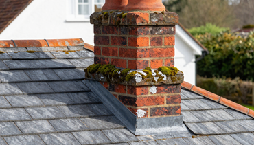 Chimney cleaning moss and efflorescence removal