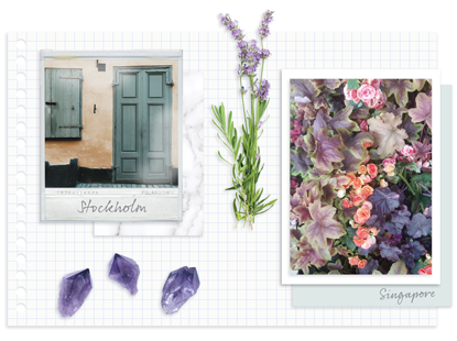 A picture of a door and flowers from stockholm and singapore A picture of a door and flowers from stockholm and singapore