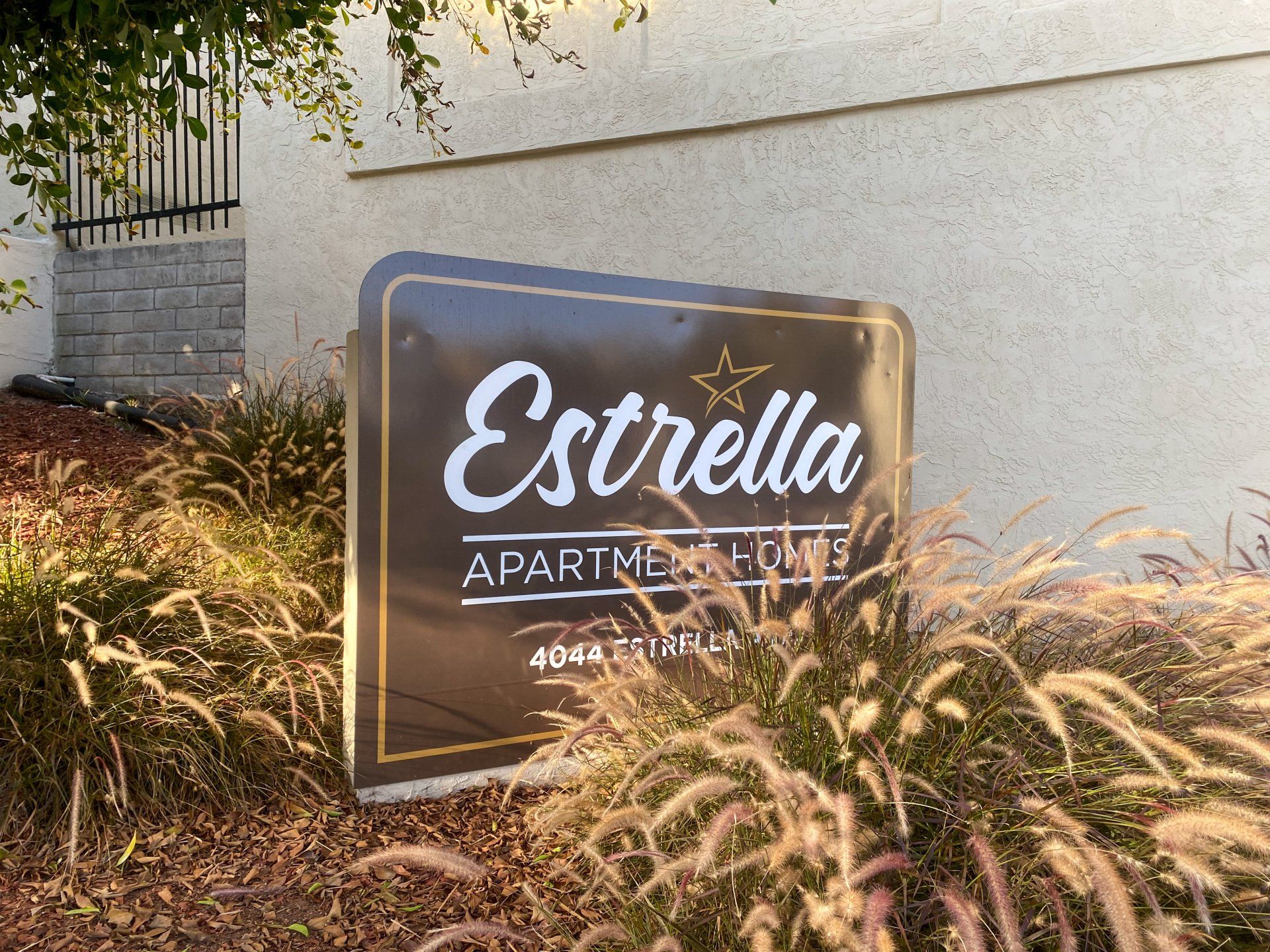 estrella