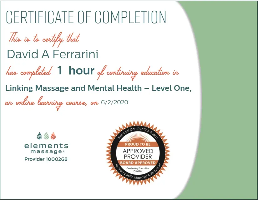 Certificate of completion for David A Ferrarini for completing an online course