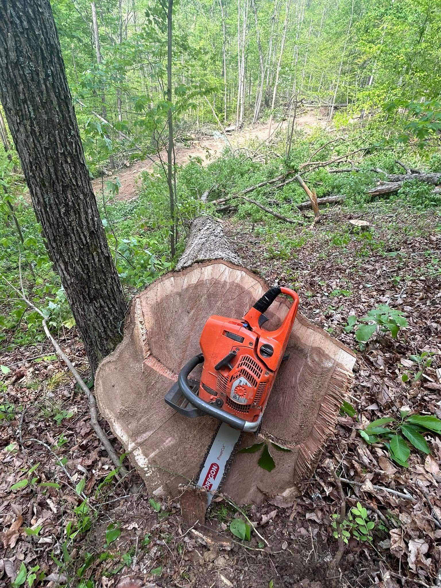 Orange chainsaw on a tree stump in a wooded area.