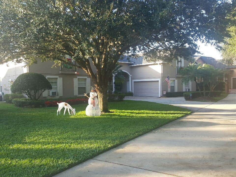 Mowing & Trimming