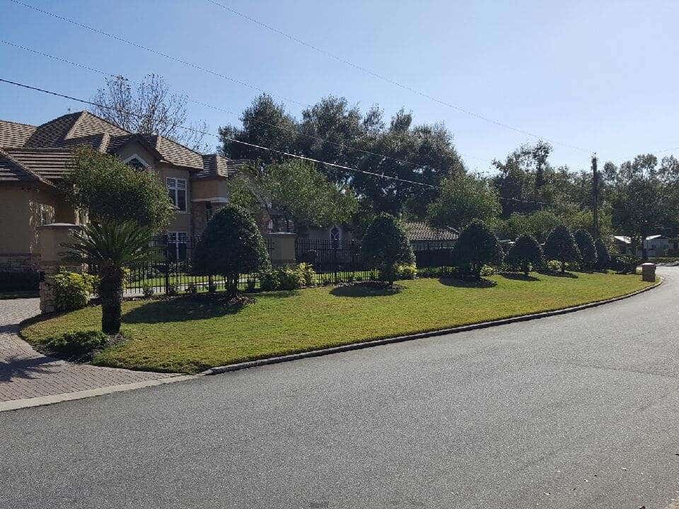 Yard Mowing