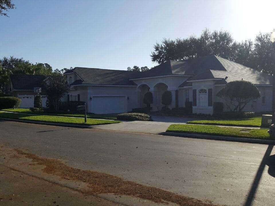 Driveway Trimming
