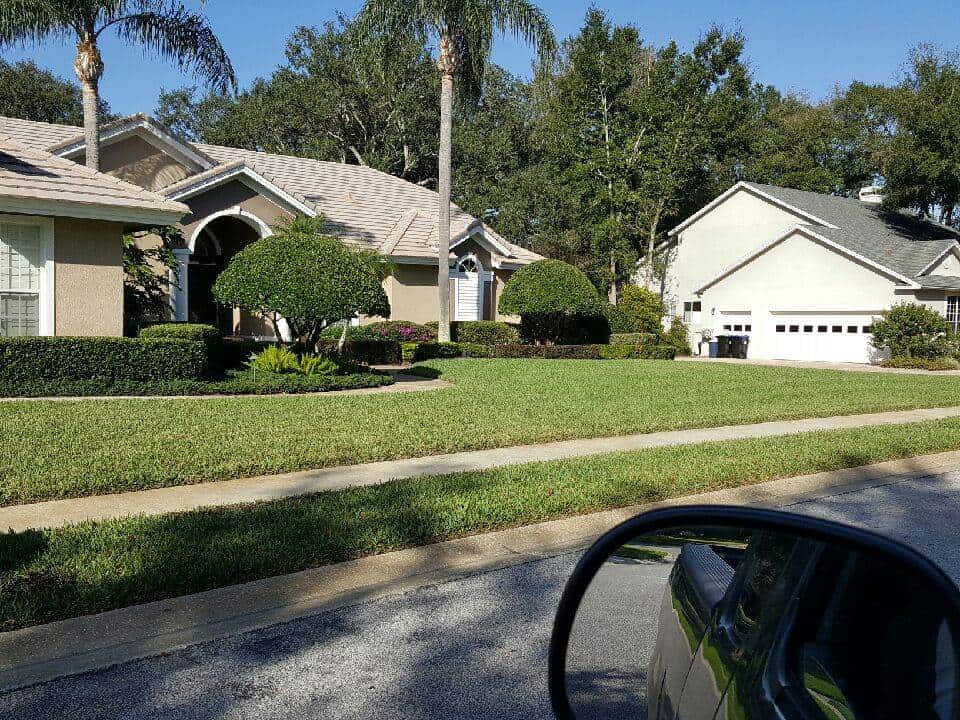 Yard Maintenance