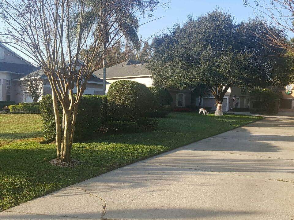 Grass Mowing