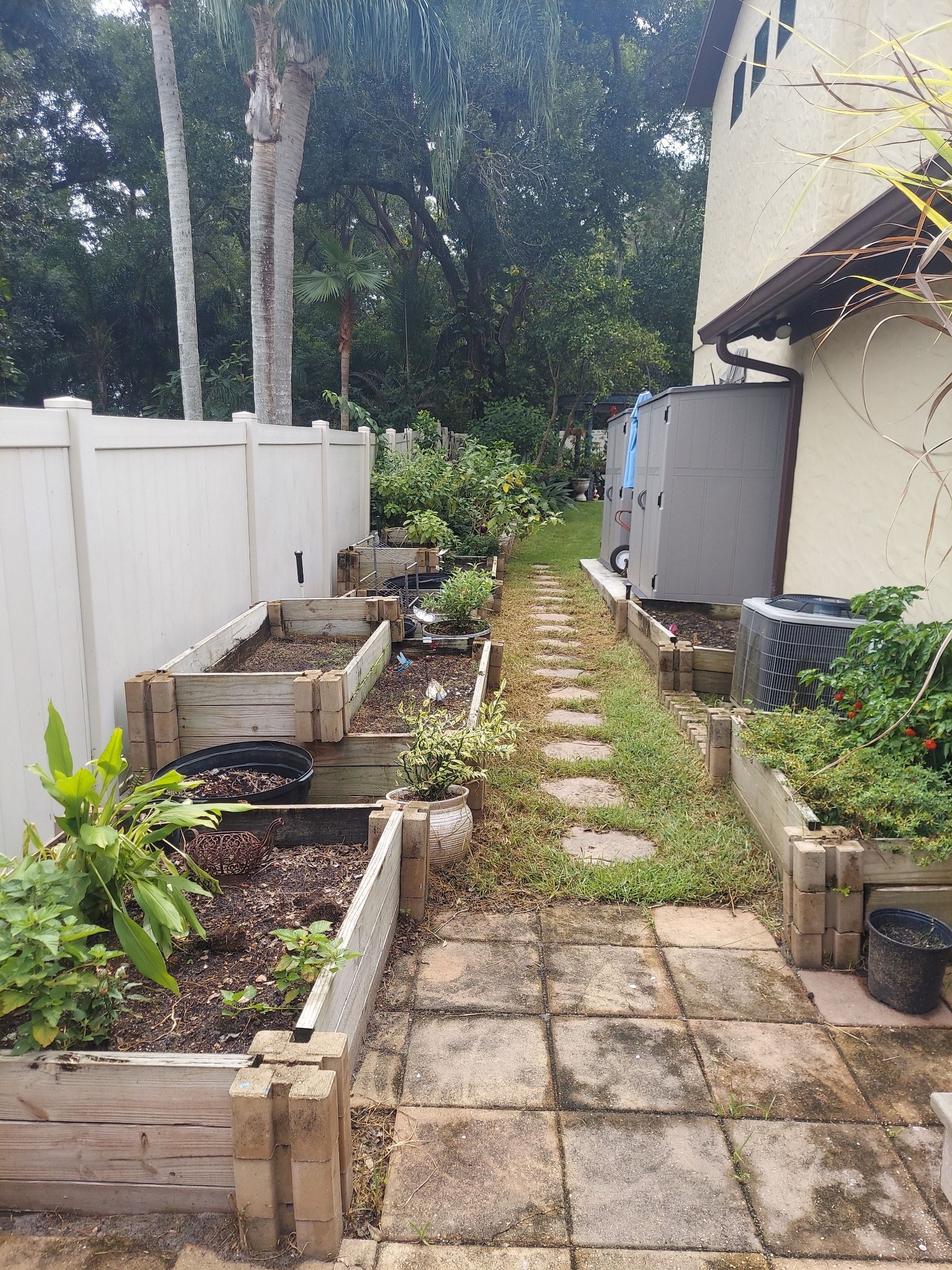 overgrown vegetation removed from side yard with expert landscape maintenance.