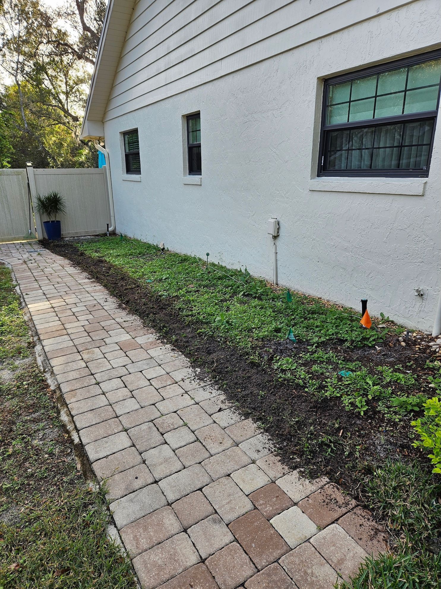 side yard plant installation service