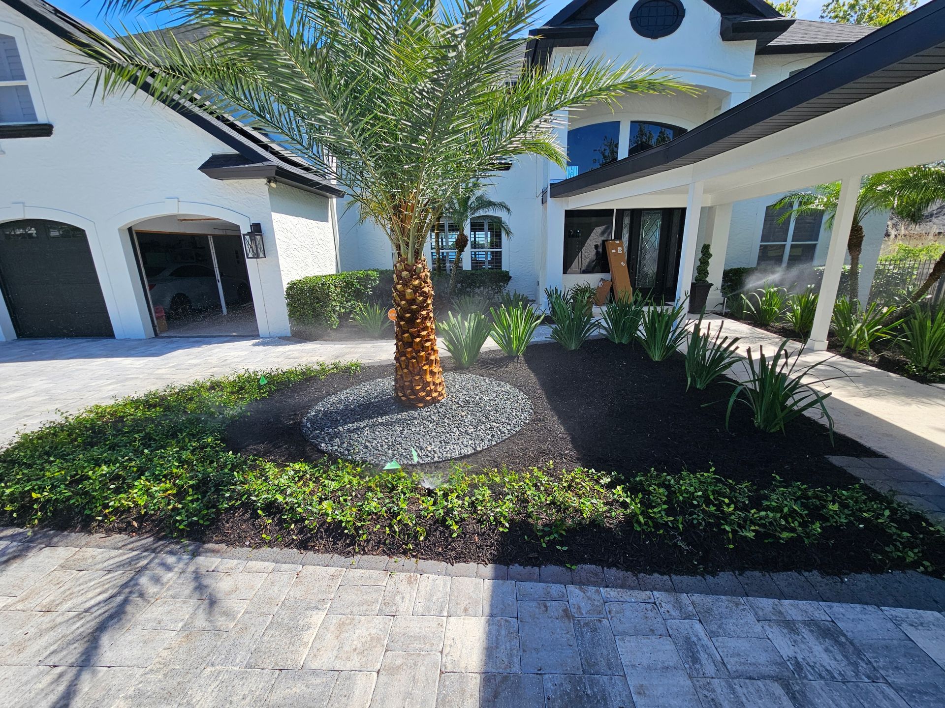 Landscaped front yard with palm tree, dark mulch, and gray stone walkway. White house in background.