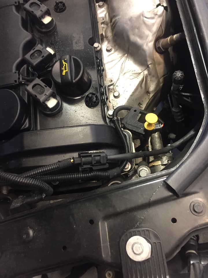 Fluid & Filter Service | Proline Auto
