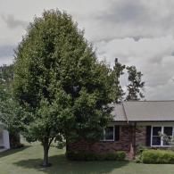 Front yard tree beside a brick house with a gray roof under cloudy skies