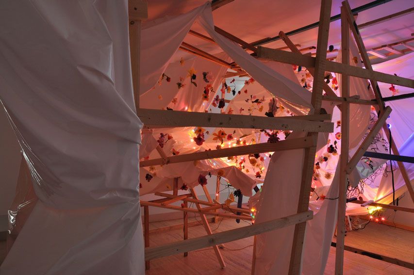 Inside the Internal Light (2011)
