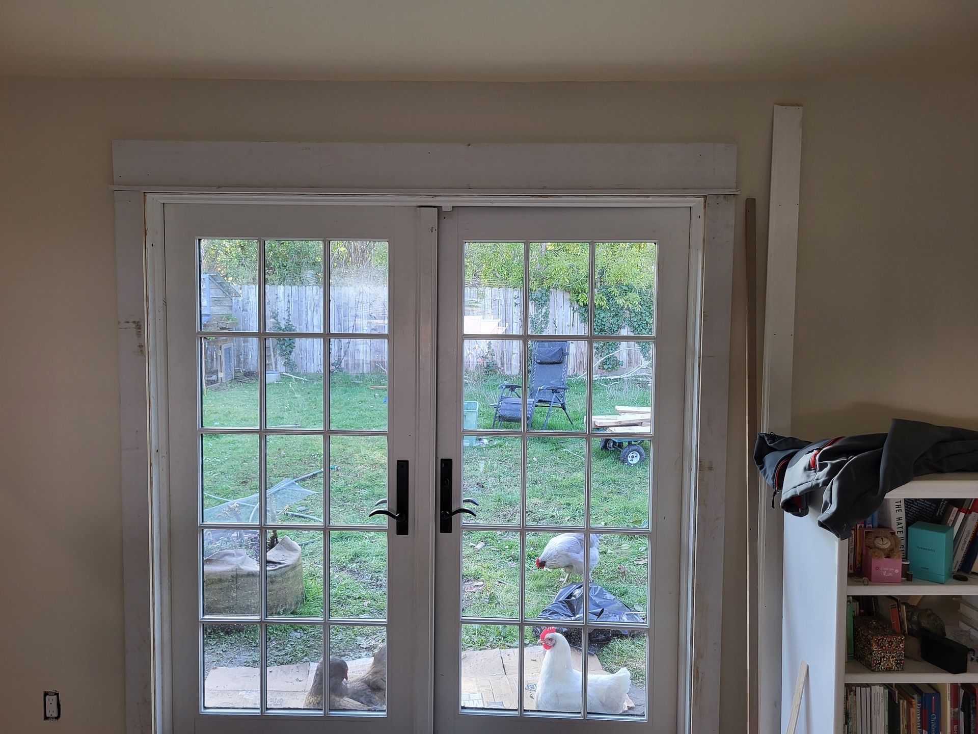A cat is sitting in front of a window with a view of a backyard.