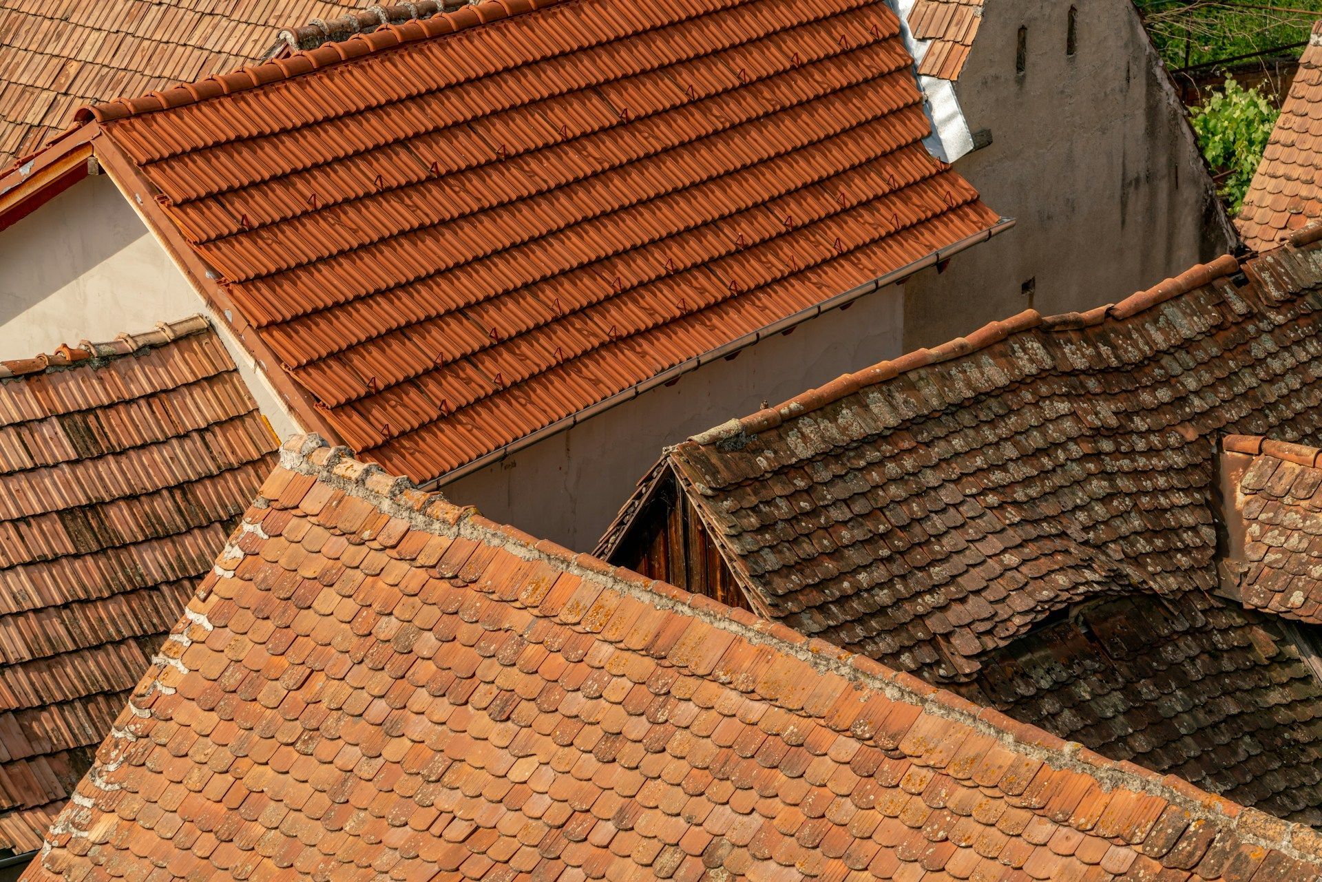 Roof Shingles