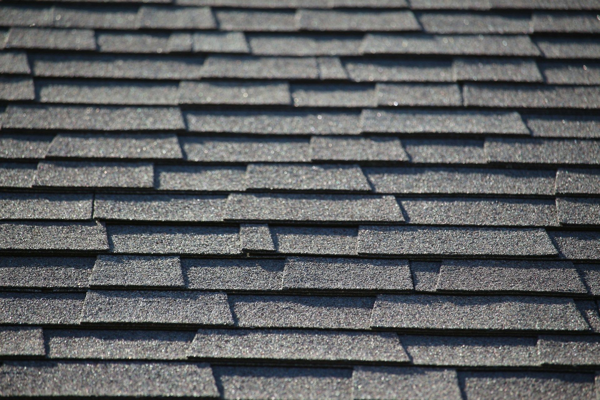 Shingle Roof 