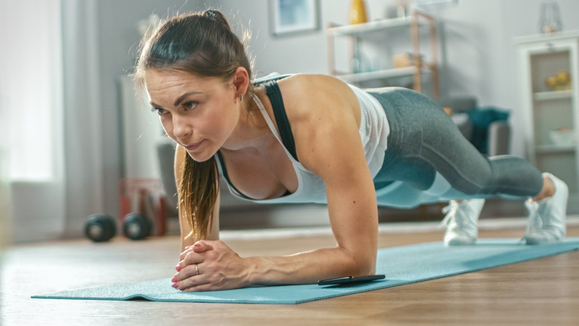 Fitness and Wellness