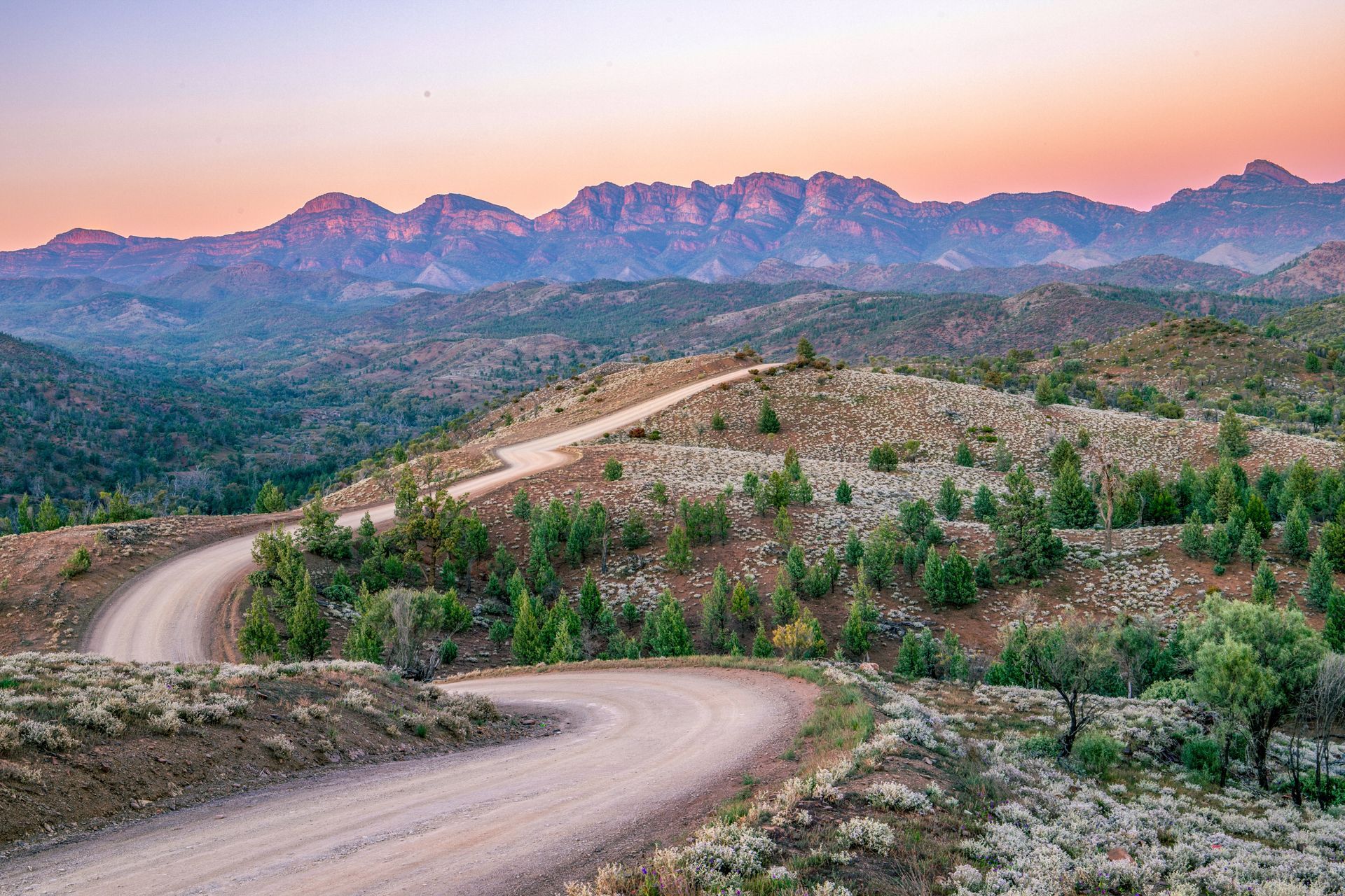 Winding dirt road through green scrub toward distant mountains at sunrise under a pink sky