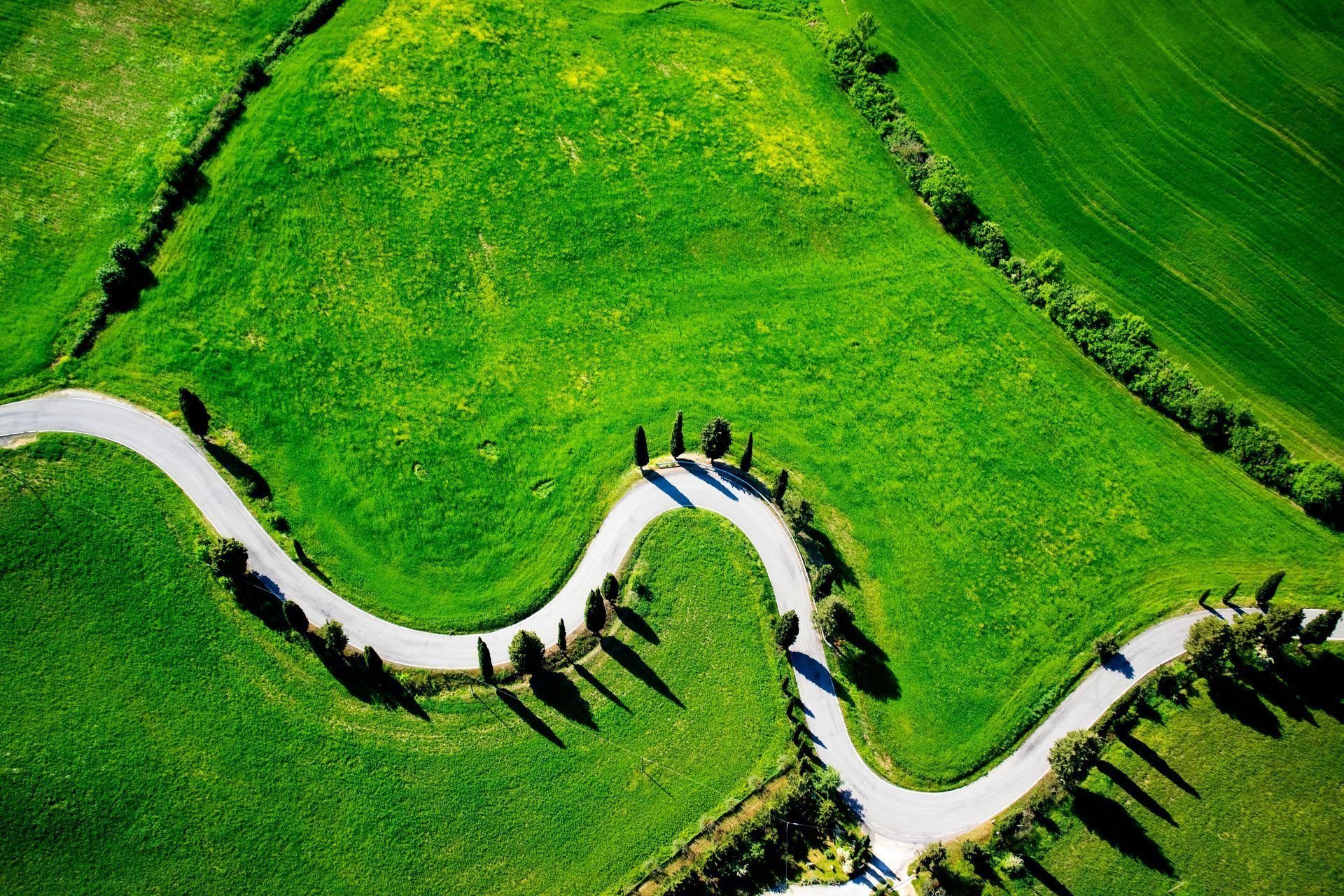 Winding white path through bright green fields, lined with dark trees and tiny figures along the curve