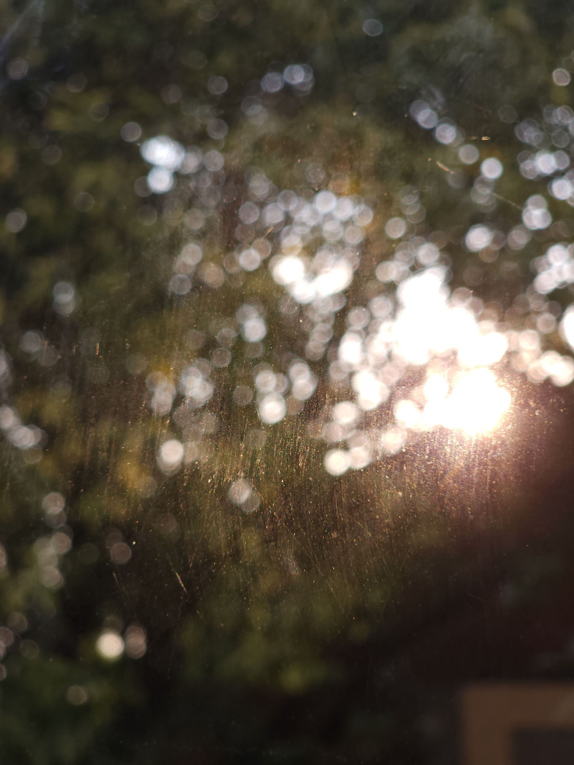 Sunlight shining through blurred tree leaves, creating a bright, hazy outdoor scene