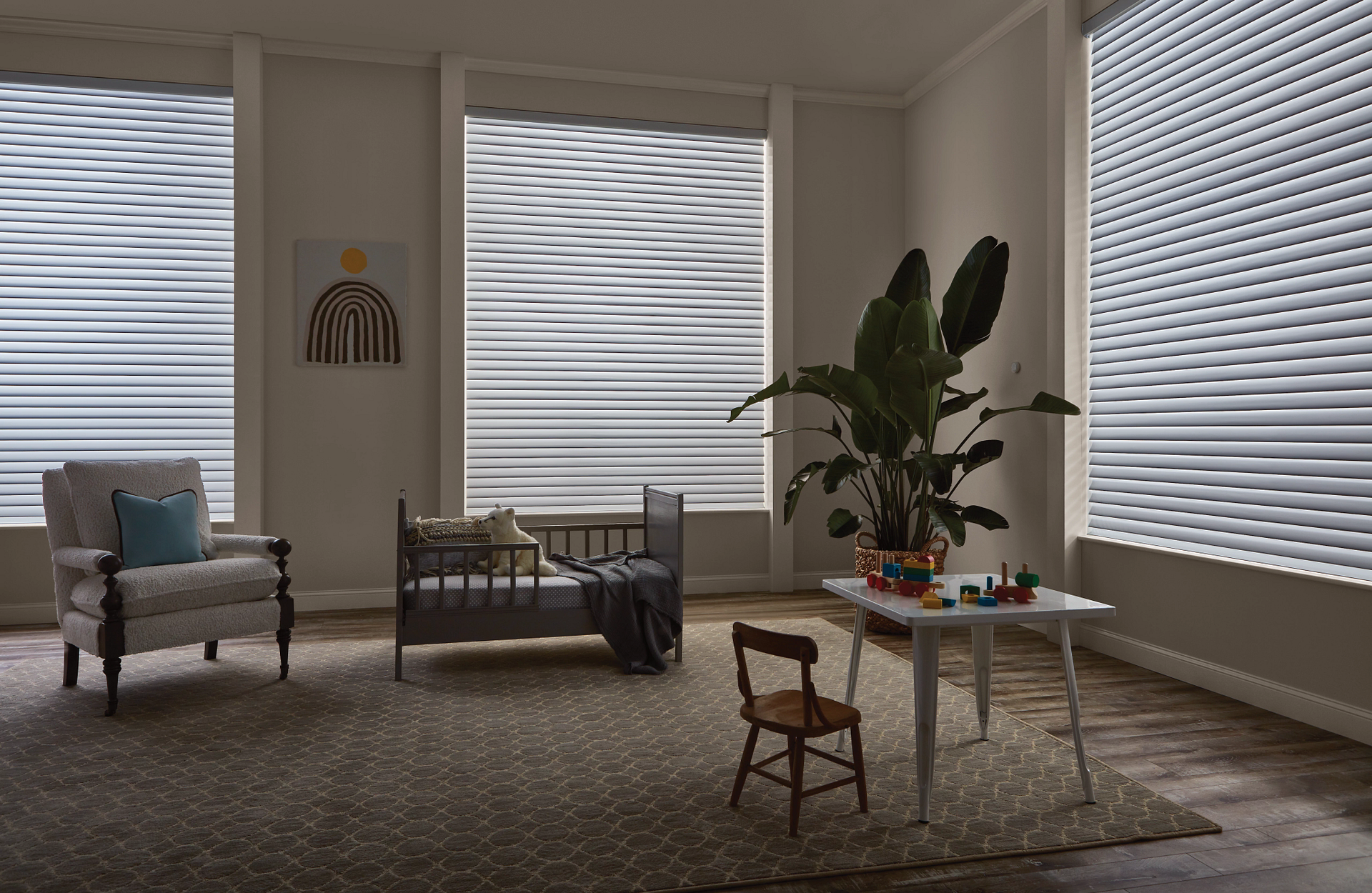 Hunter Douglas PowerView® Automation near Lutherville-Timonium, Maryland (MD)