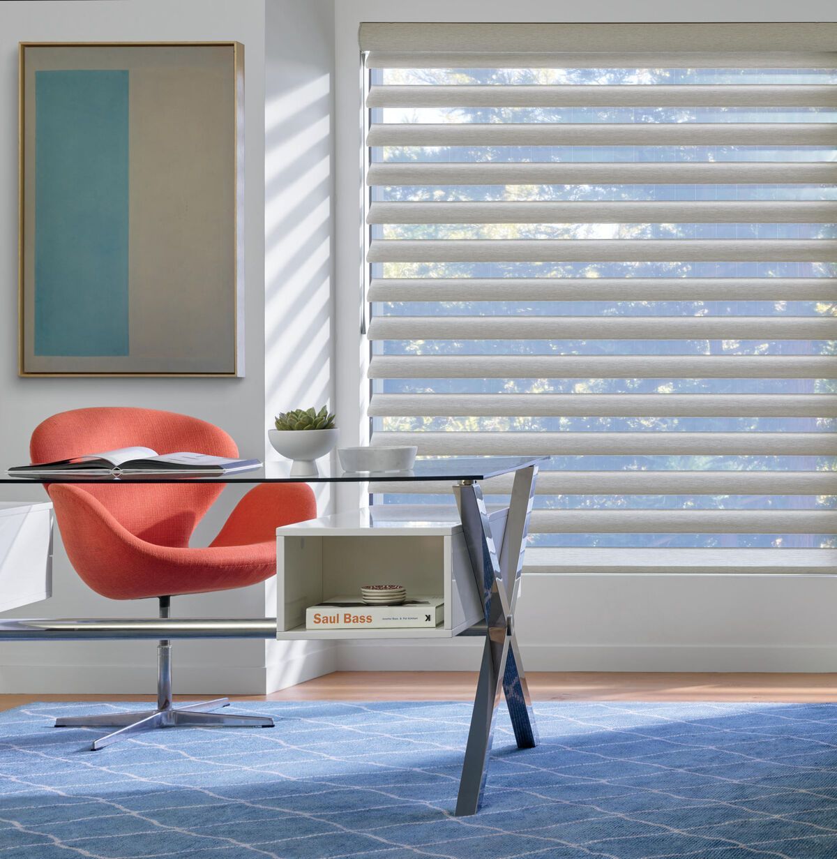 Hunter Douglas Pirouette® Window Shadings near Lutherville-Timonium, Maryland (MD)