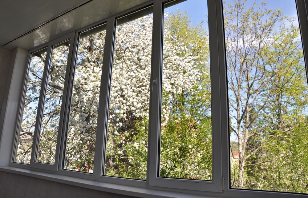 A Large Window With a View of a Tree With White Flowers — Ideal Glass In Winnellie, NT