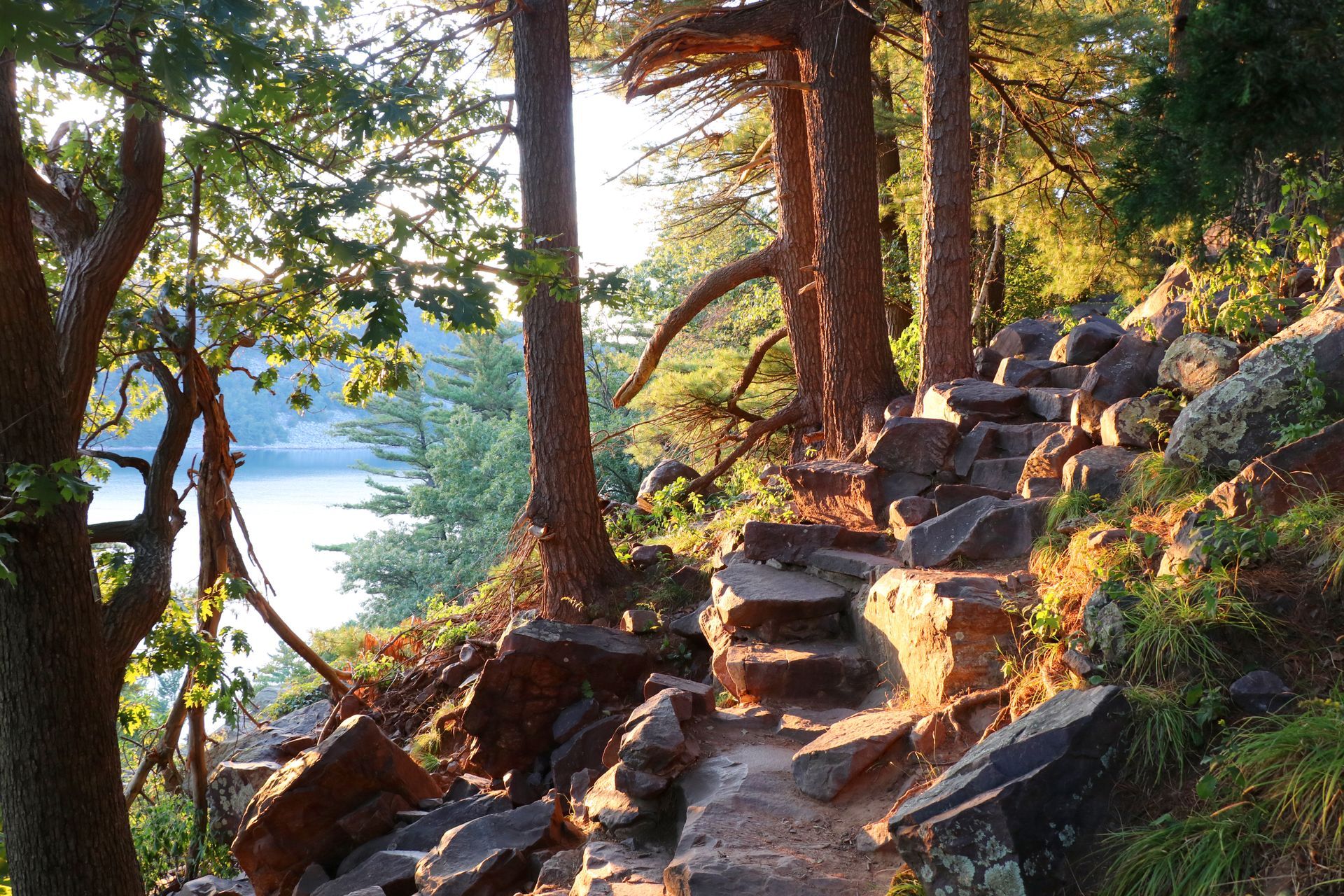 A path in the woods leads to a lake