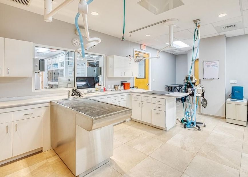 A veterinary office with a stainless steel table and white cabinets.