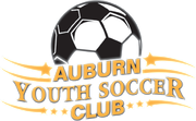 Logo for league