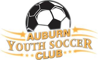 Logo for league