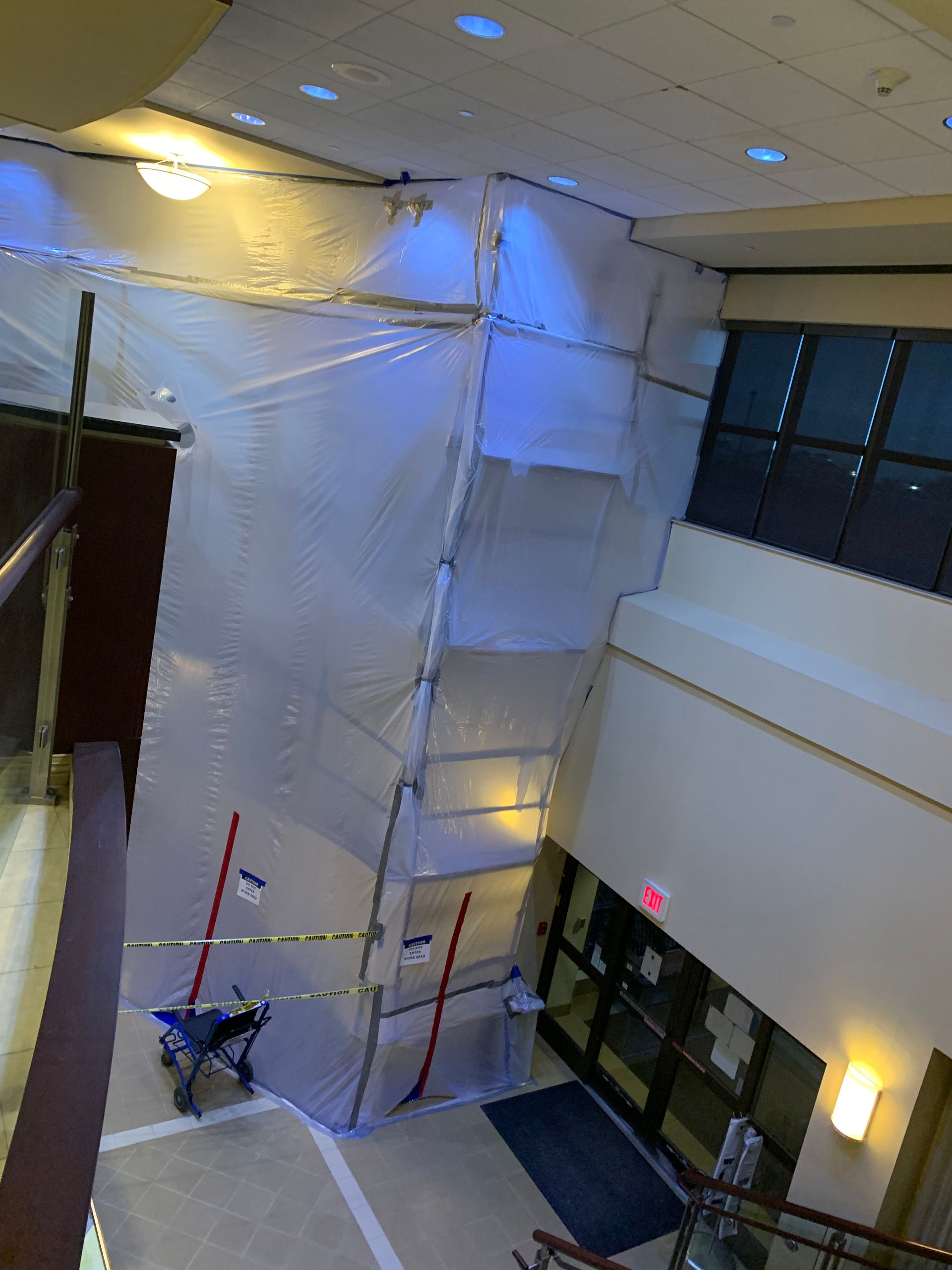 mold removal near me