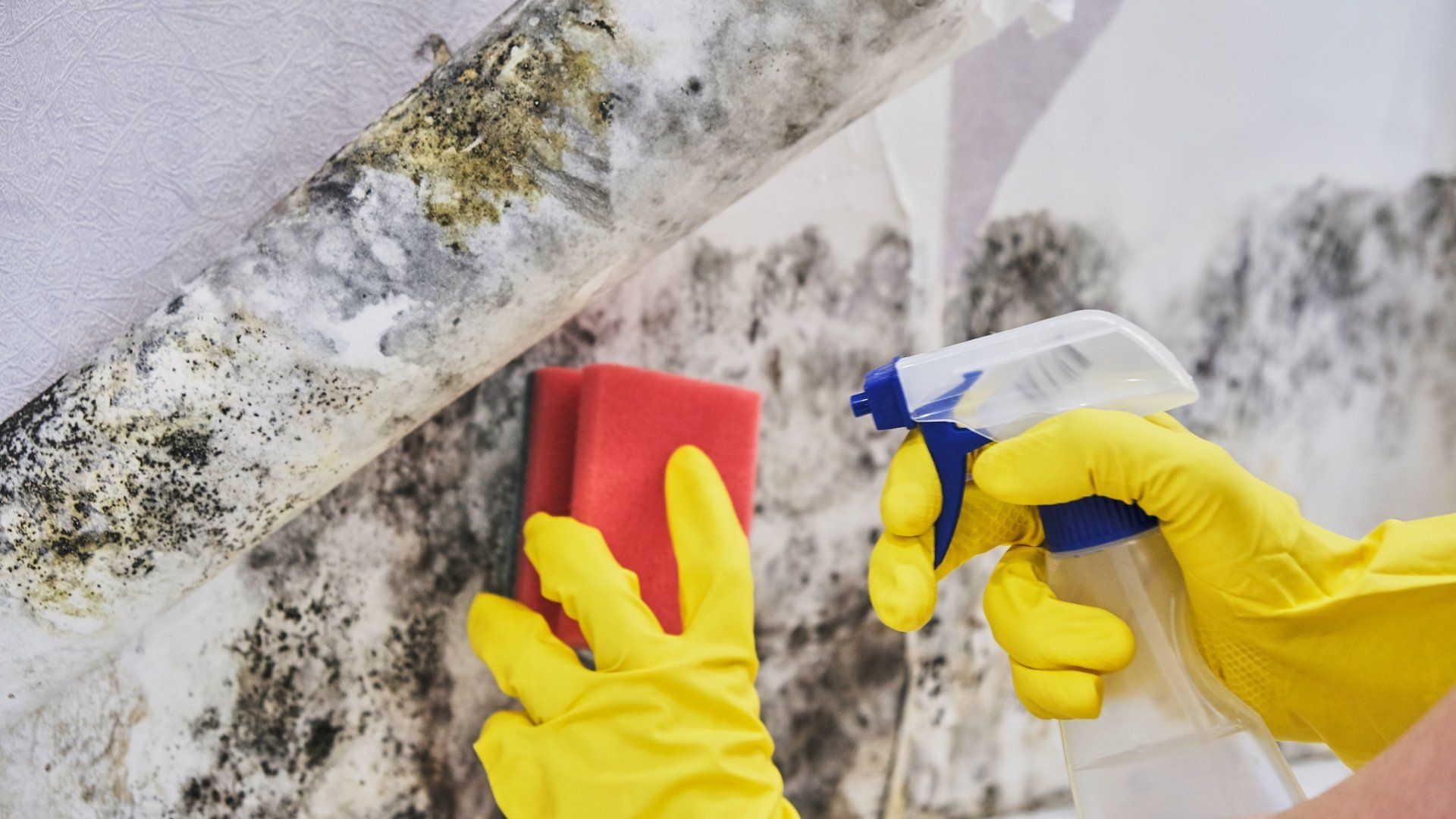 environmental services galveston tx environmental services galveston tx