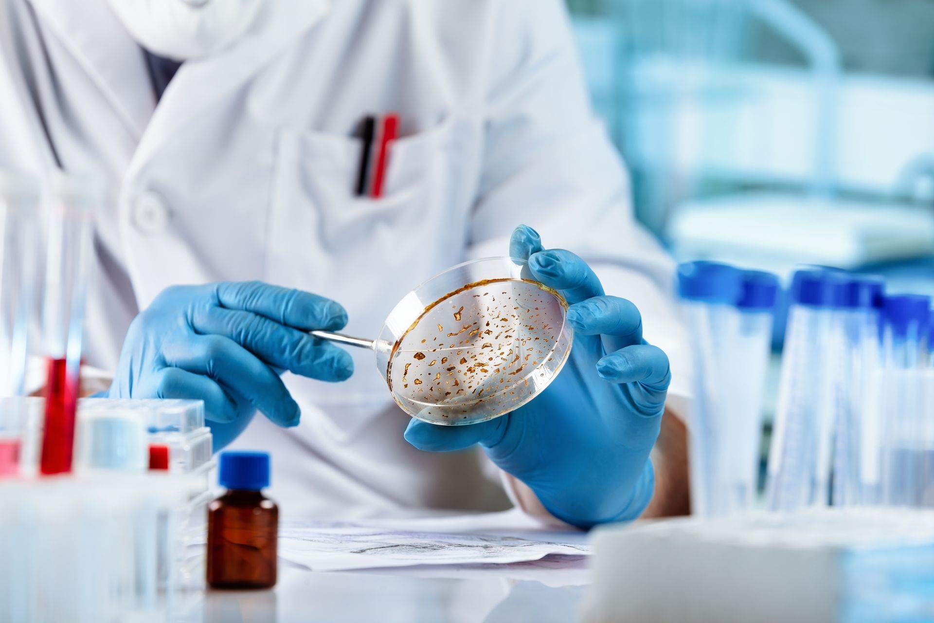 Mold Testing