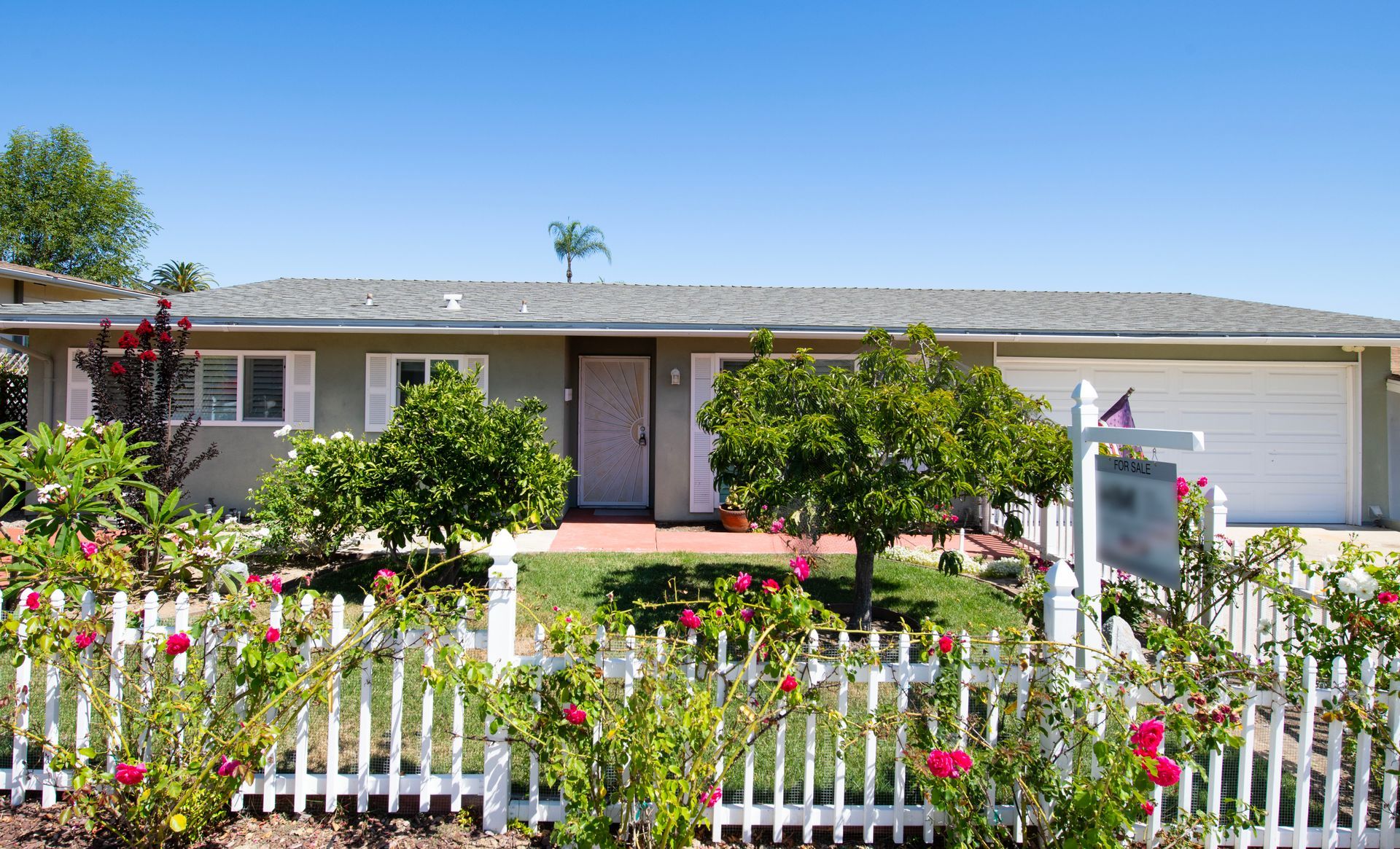 9954 Rocky Ridge 92026