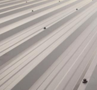A close-up view of light-colored, corrugated metal roofing panels with visible dark fasteners.