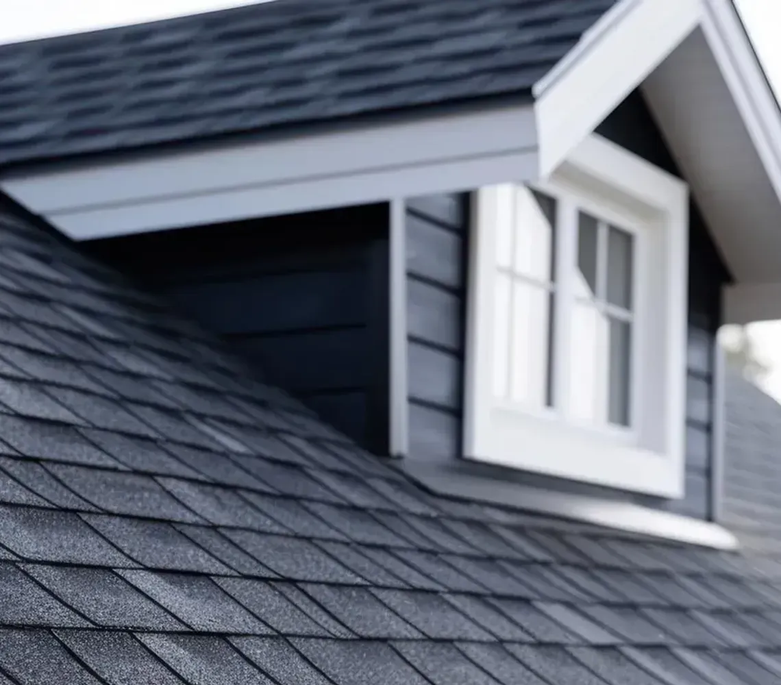 A close-up view of a dark shingled roof featuring a white-framed dormer window under a soft, overcast sky.