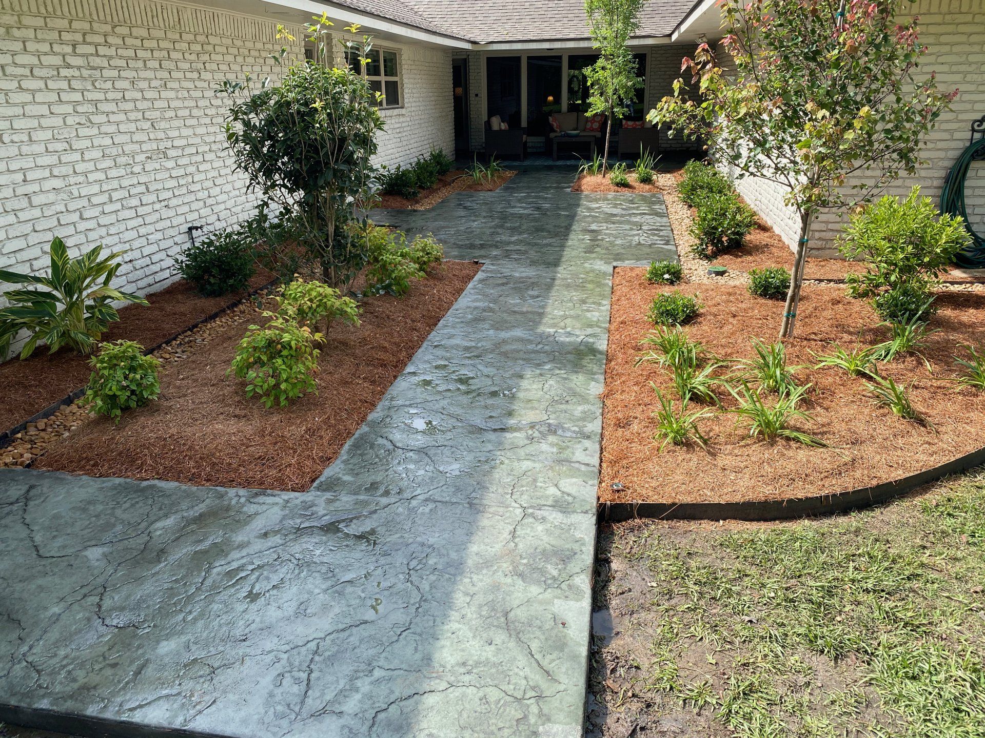 Concrete walkway with landscaped beds, mulch, and small trees leading to a house entrance.