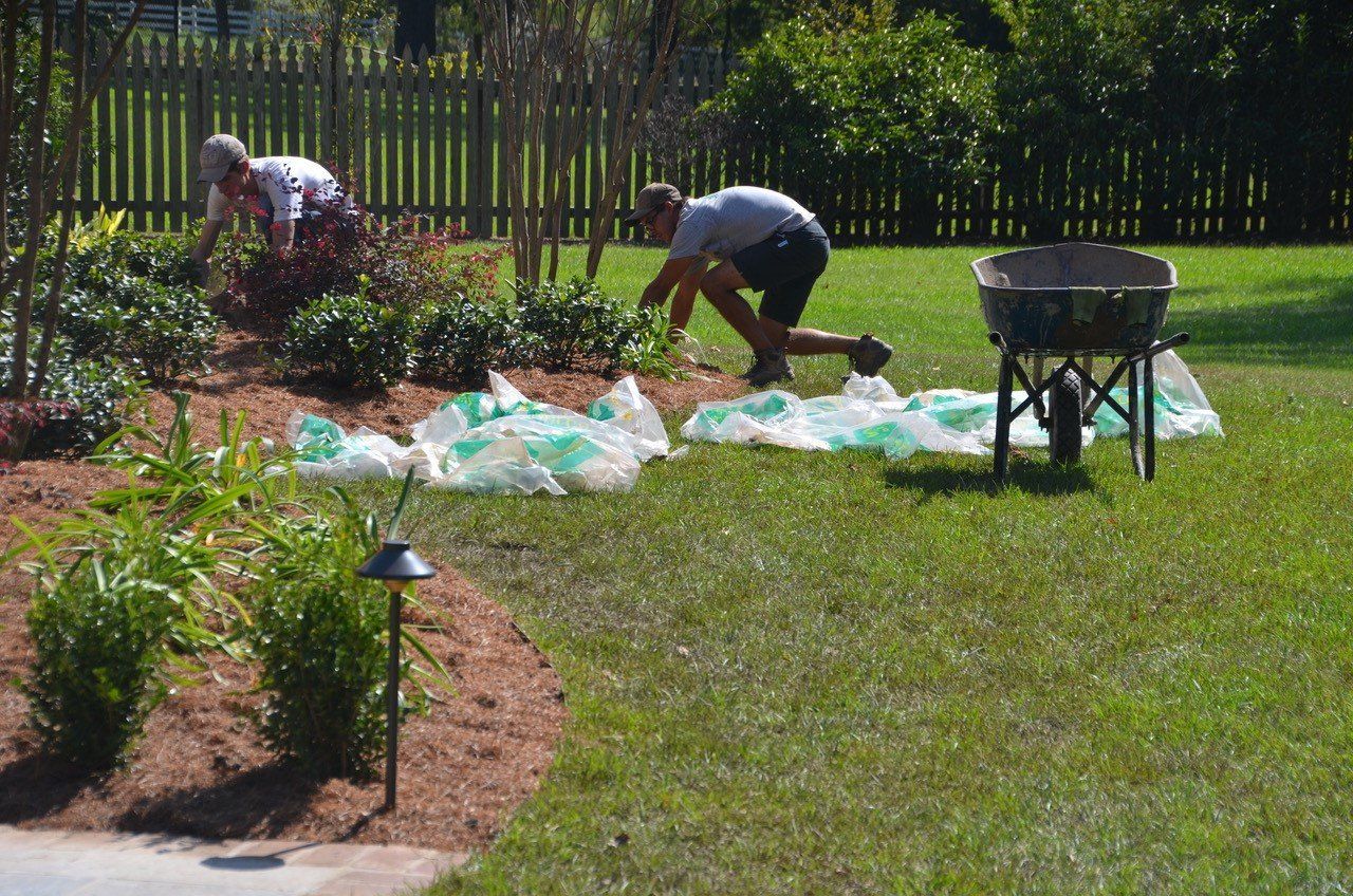 Two people gardening in a yard, planting with a wheelbarrow nearby.