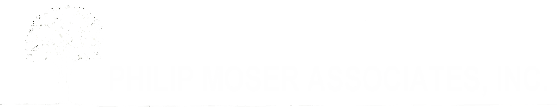 White logo on white background.