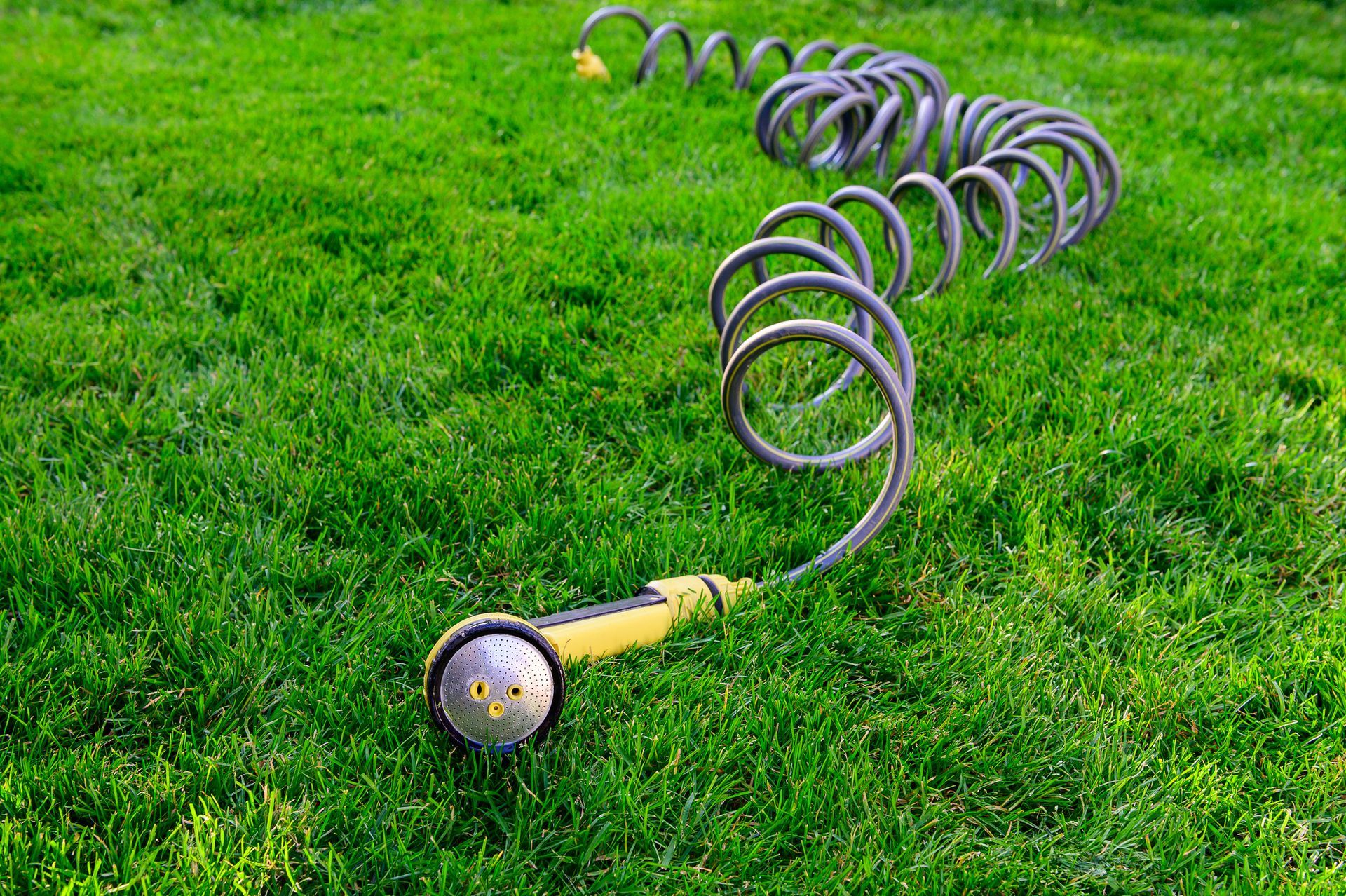 A yellow hose is laying in the grass next to a spiral hose.