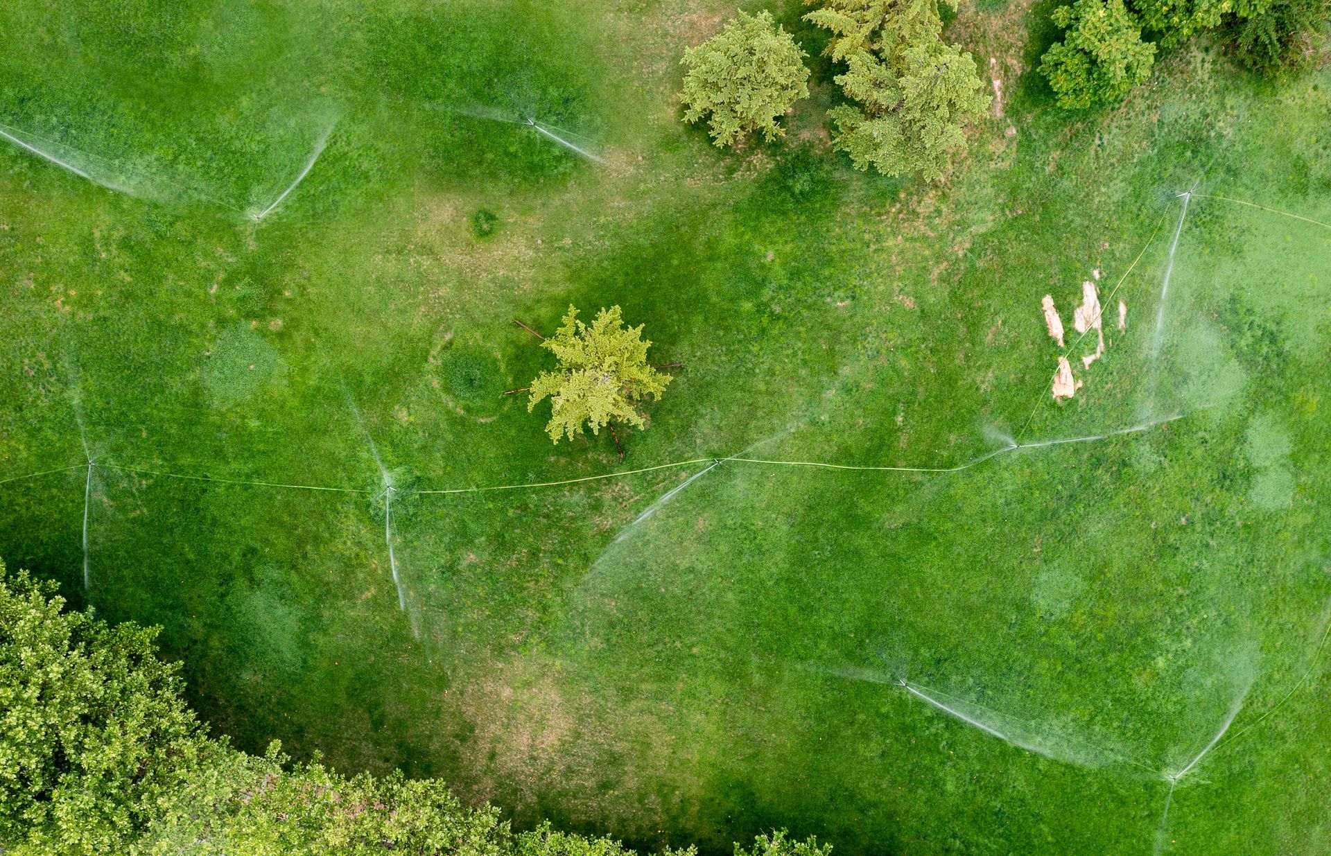 An aerial view of a lush green field with sprinklers spraying water.