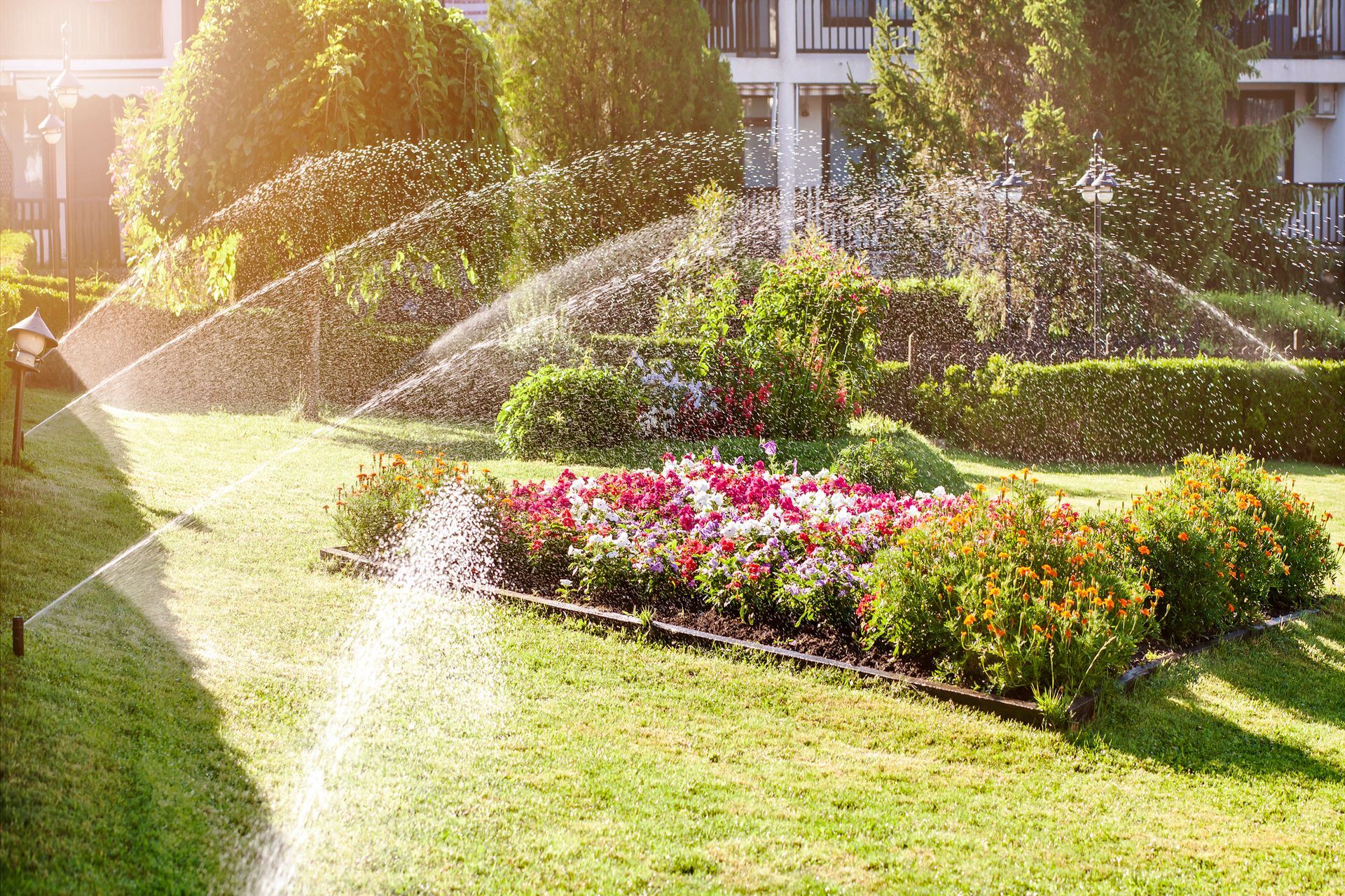 A sprinkler is spraying water on a lush green lawn in a garden.