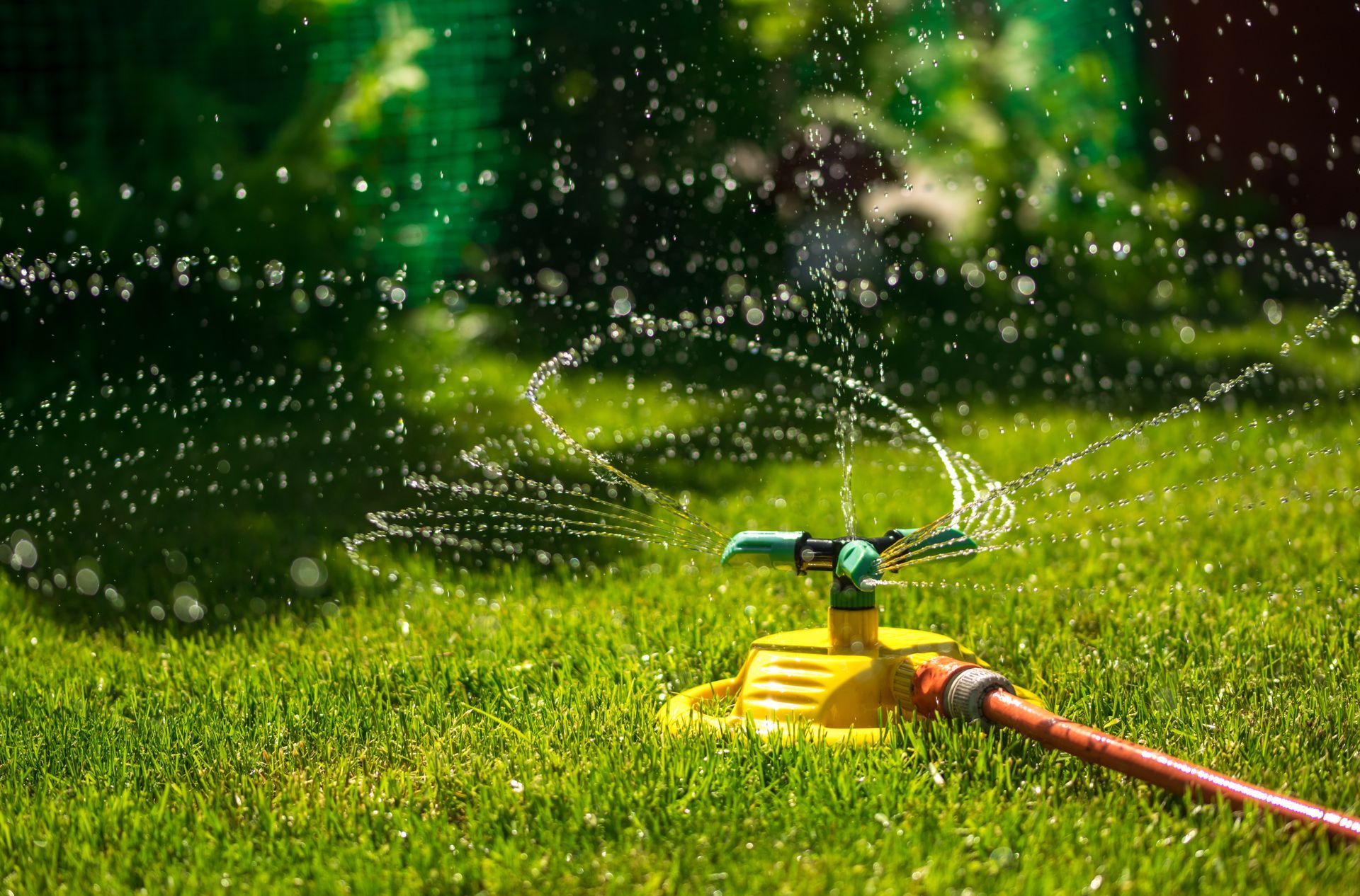 A lawn sprinkler is spraying water on a lush green lawn.