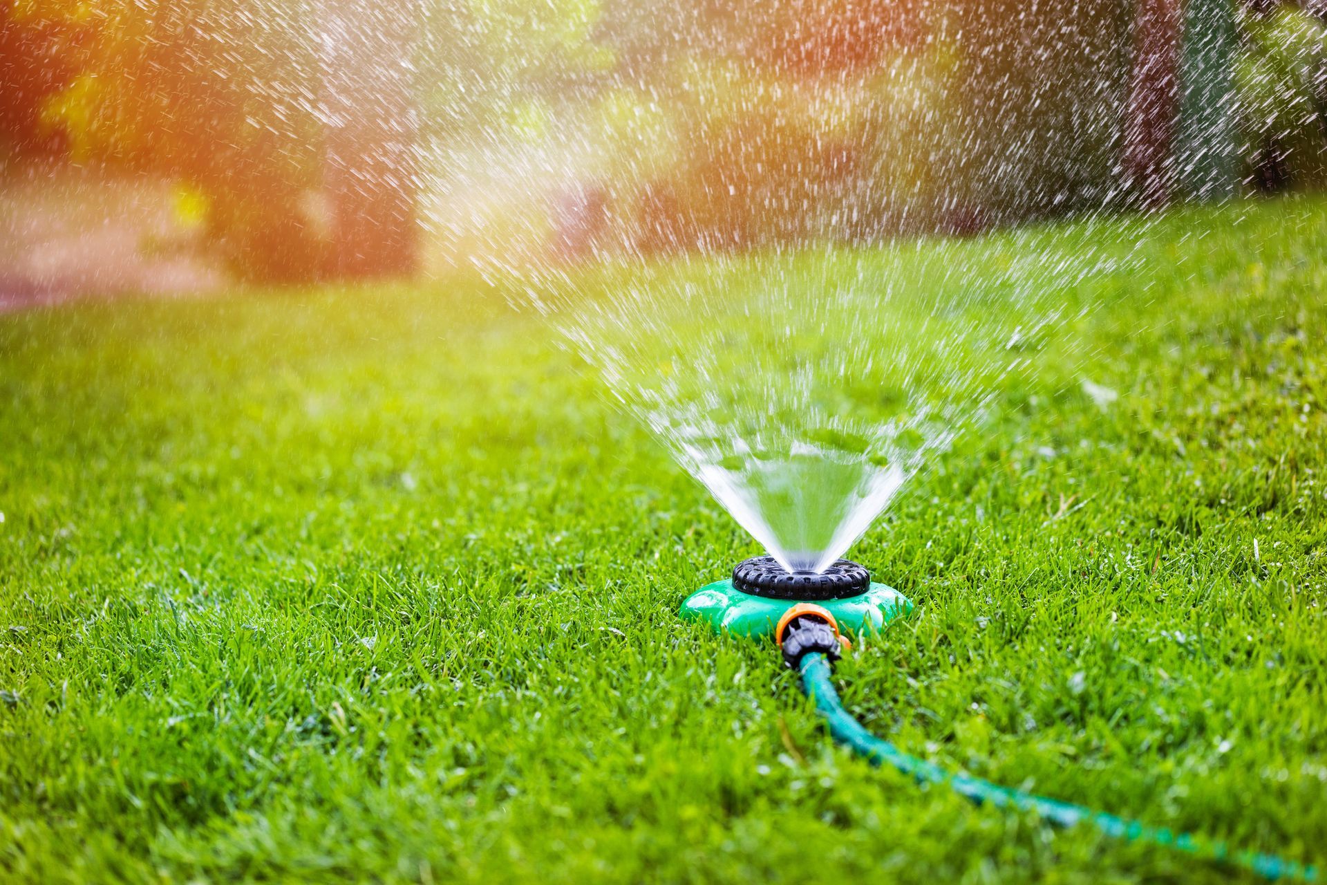 A sprinkler is spraying water on a lush green lawn.